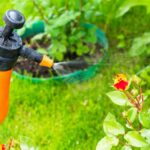 Chemical-Free Methods of Pest Control