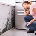 mould removal near me